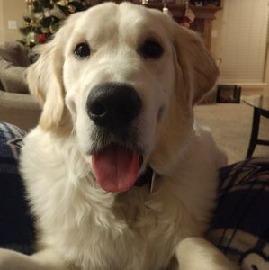 Meet your Posher, Marc